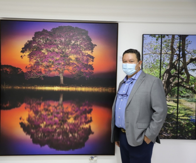 Florada dos Ipês é atração em galeria de fotógrafo